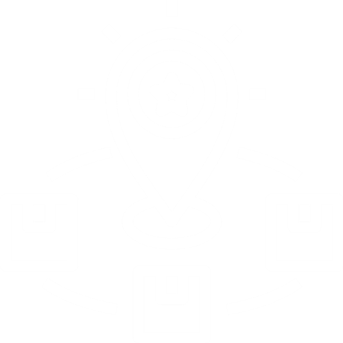 Brand Occupying the Central Position in its Category